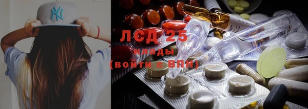 ГАЛЛЮЦИНОГЕННЫЕ ГРИБЫ Верхний Тагил