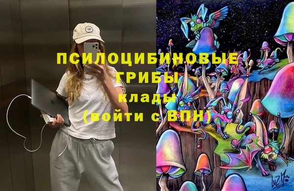 герыч Верея