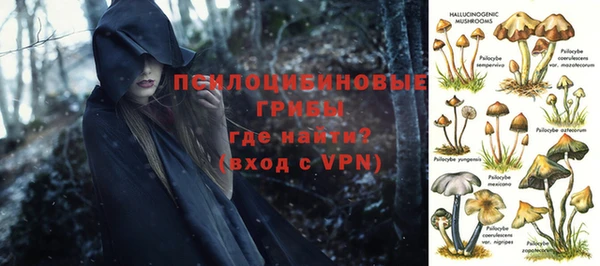 первитин Бронницы