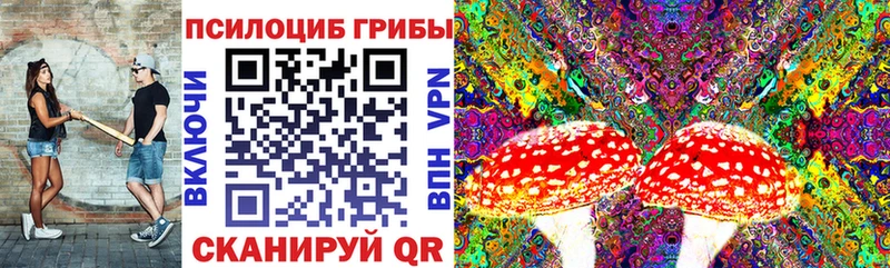 Галлюциногенные грибы GOLDEN TEACHER  Южно-Сахалинск 